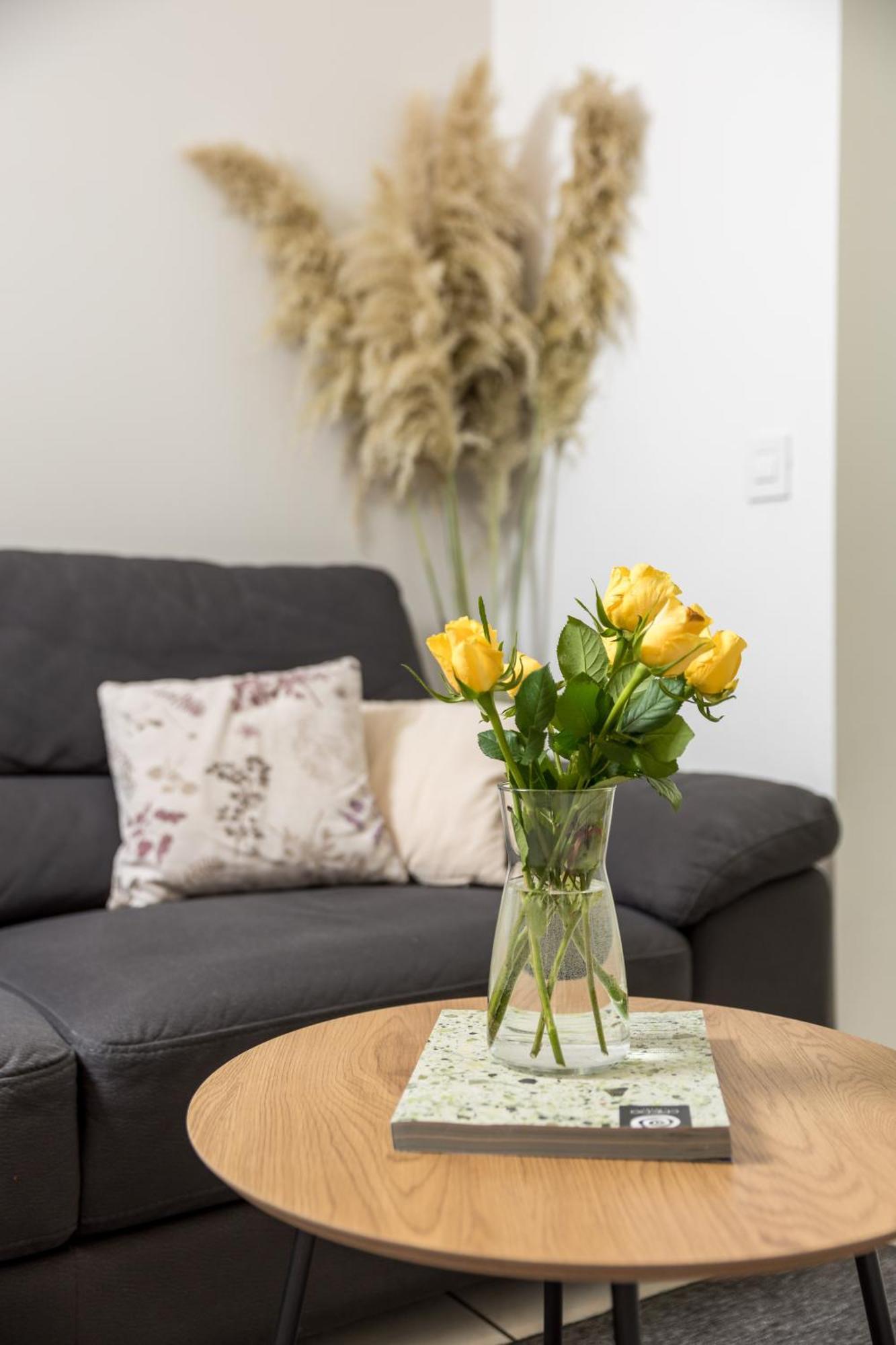 Apartment City Flower Rijeka Extérieur photo